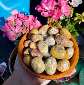 Crazy Lace Agate Tumbles