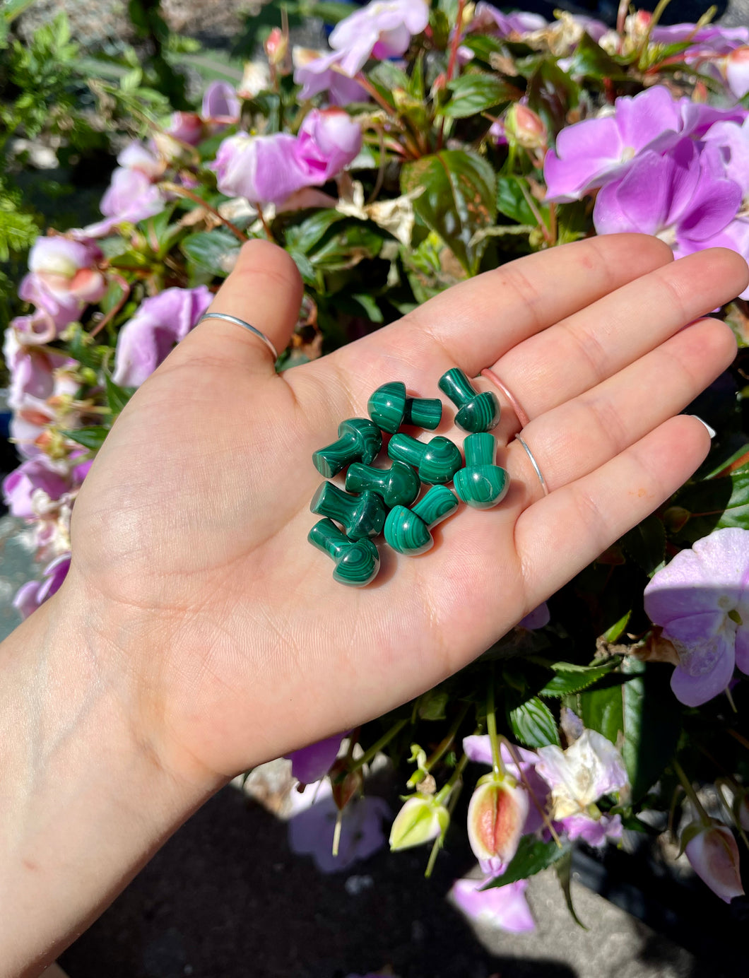 Malachite Mushrooms