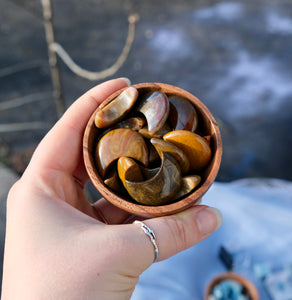 Ocean Jasper Moons