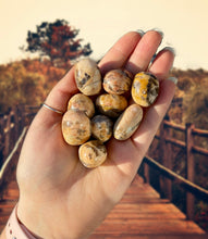 Load image into Gallery viewer, Peach Moonstone with Smokey Quartz Tumbles
