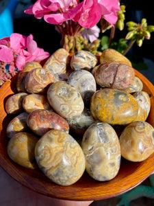 Crazy Lace Agate Tumbles