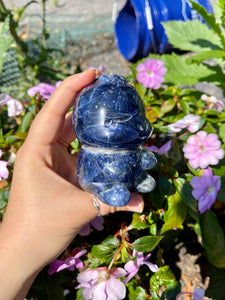 Sodalite Sitting Dino- X-Large