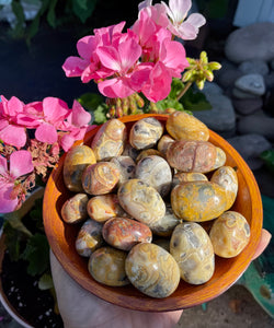 Crazy Lace Agate Tumbles