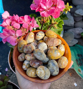 Crazy Lace Agate Tumbles