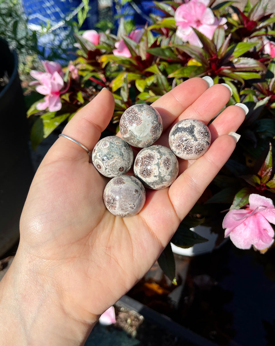 Rhyolite aka Russian Flower Agate Spheres – The Faery Grove