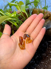 Load image into Gallery viewer, Baltic Amber Chips- 2 grams
