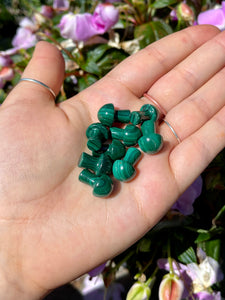 Malachite Mushrooms