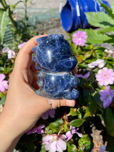 Sodalite Sitting Dino- X-Large